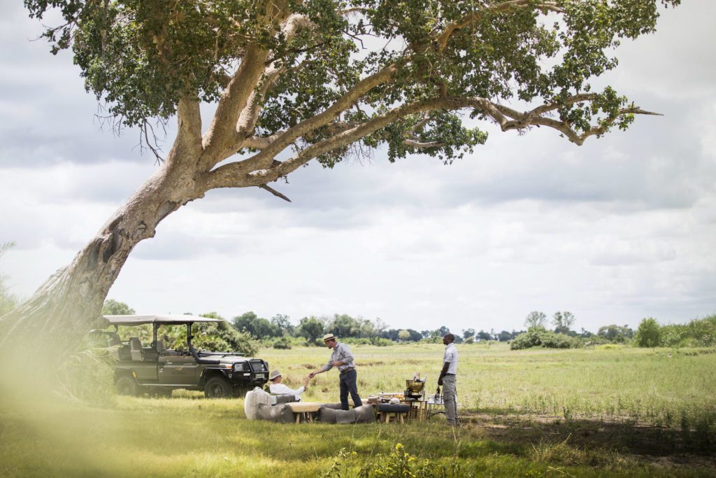 Mombo Camp safari picnic on the safari in the Okavango Delta Botswana