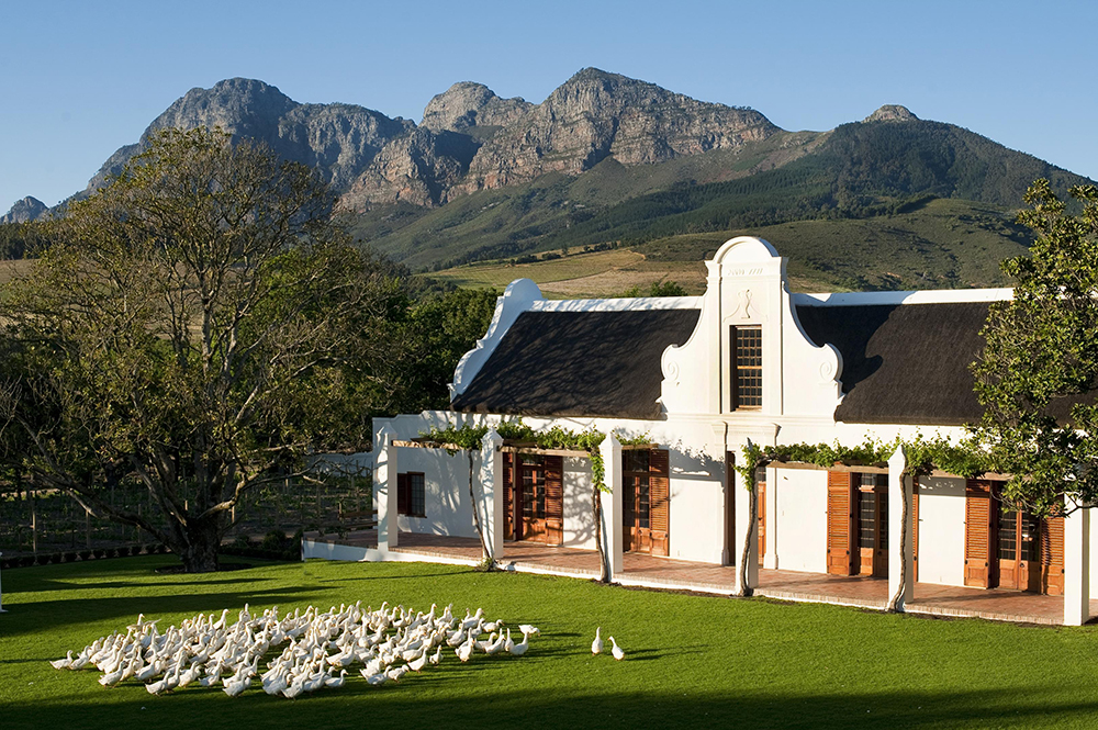 Babylonstoren Manor House working ducks, wine farm in Cape Town in South Africa
