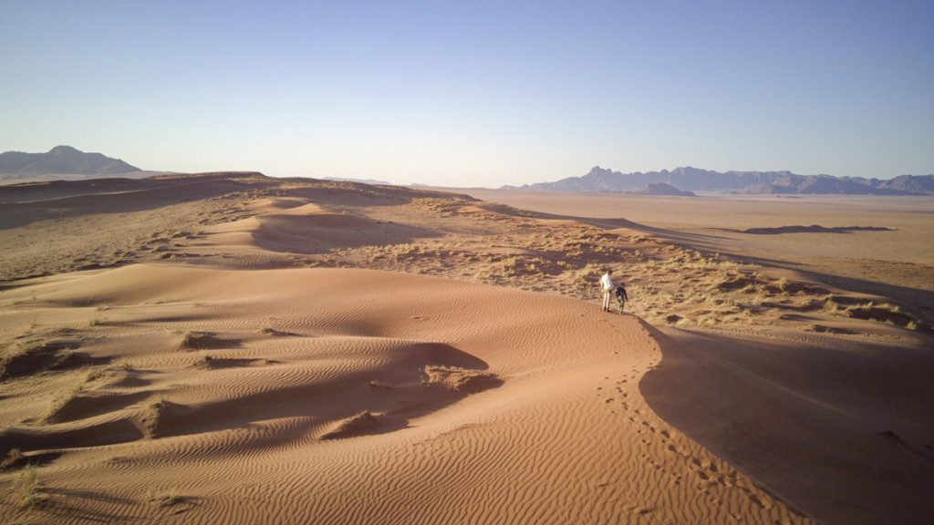 Dramatic dune shot at Kwessi Dunes lodge in Namibia