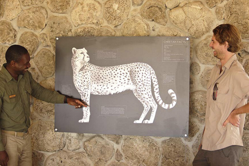 Namiri-Plains-Serengeti-Tanzania-safari-main-camp-cheetah-photo
