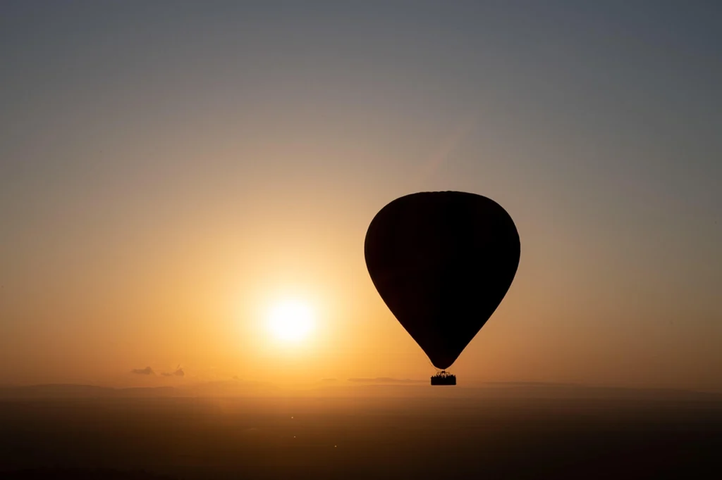Explore our Secret Safari