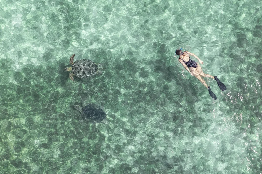 Women snorkelling with turtle in Madagascar